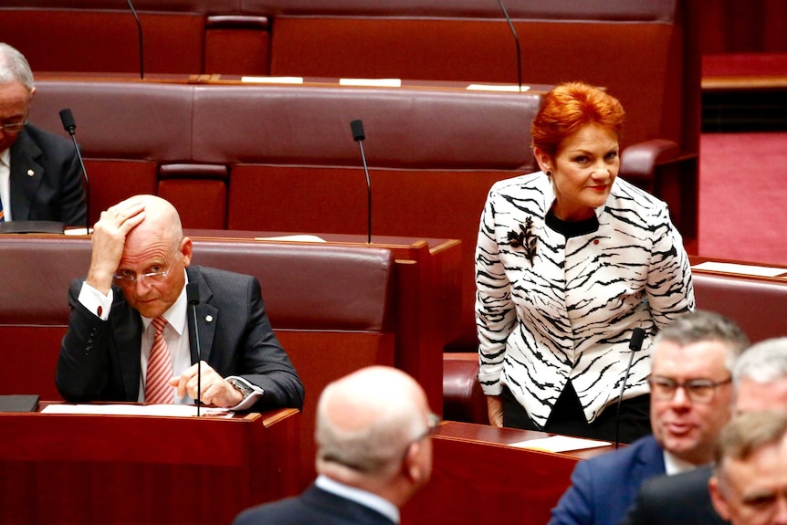 David Leyonhjelm (L) sits next to Pauline Hanson (R) in Parliament.