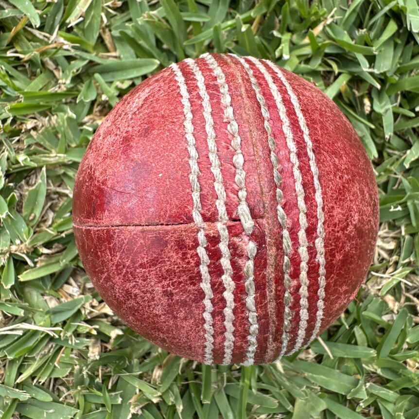 An older cricket ball with roughness to the leather on the grass.