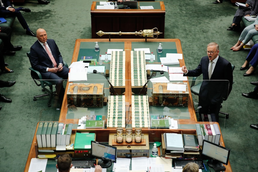 Peter Dutton and Anthony Albanese face off across a table in parliament. 