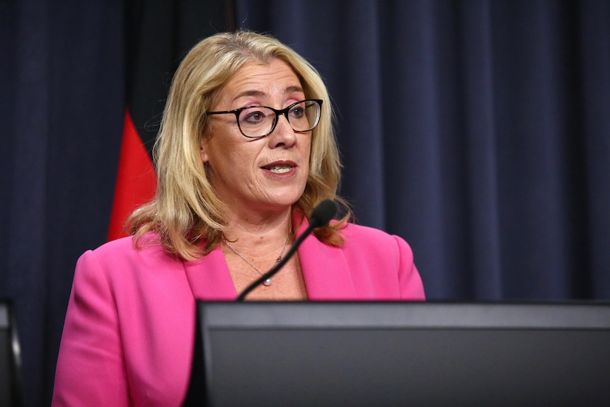 A medium close-up shot of Rita Saffioti in a pink jacket and spectacles speaking at a lectern during a media conference indoors.