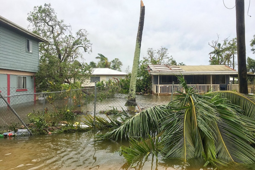 Floodwaters, fallen trees and debris surrounding houses.