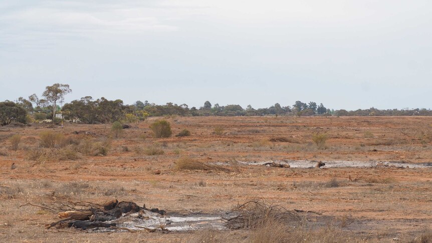 A Trentham Cliffs property in south-west NSW that has been largely cleared of Mallee scrub.