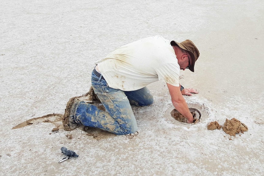 Digging up the meteorite