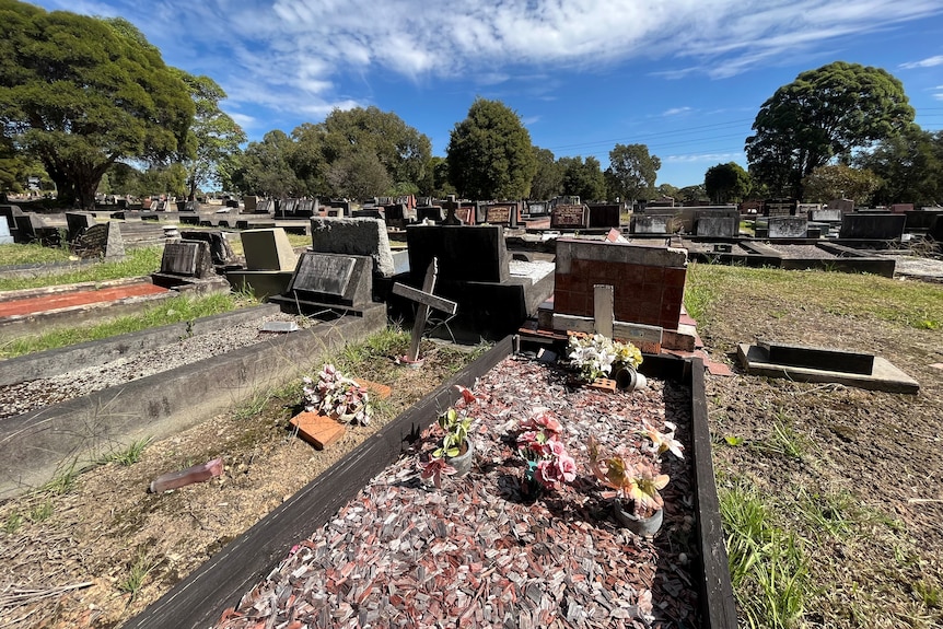 Graves at Rookwood cemetery.