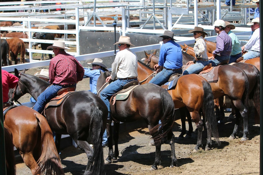 Competitors on horseback line up alongside a fence facing away from the camera