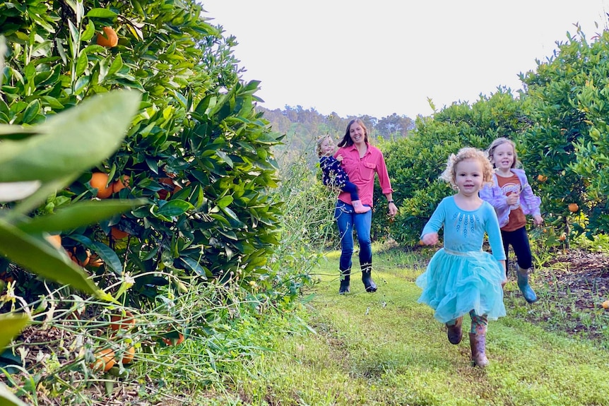 A woman and her three children run through an orange orchard