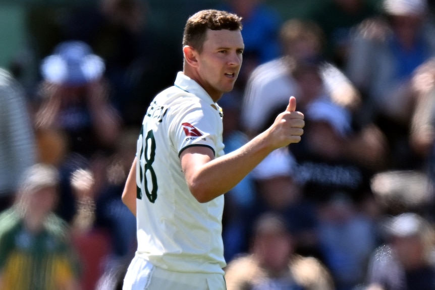 Josh Hazlewood gives a thumbs up during a game