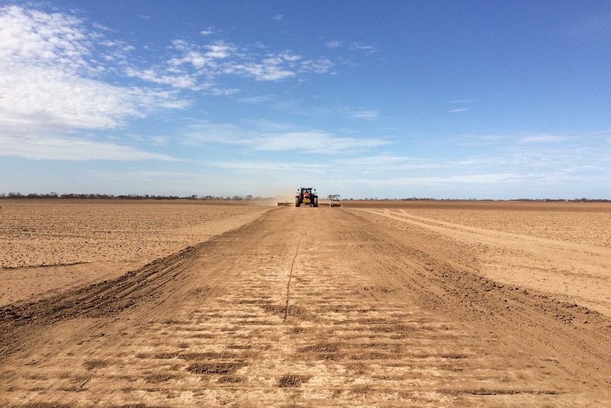 Some SA farmers are using the devastation as an opportunity to redesign their farms from scratch.