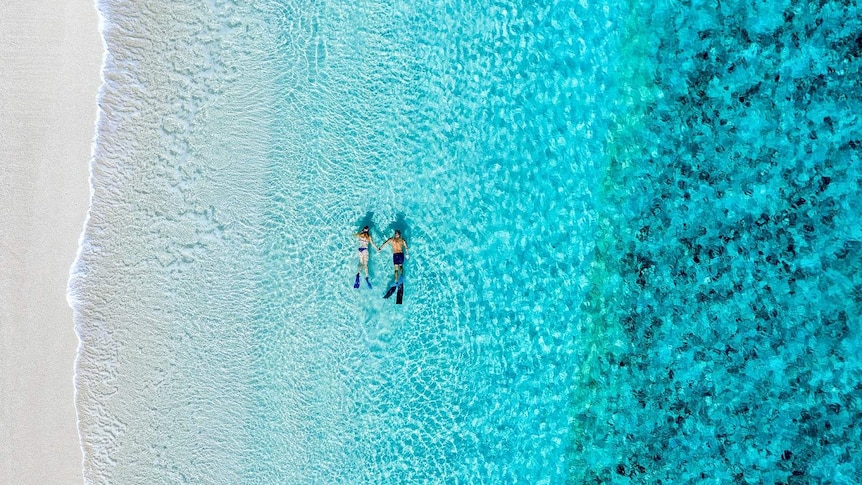 An aerial shot of two people snorkelling in clear blue water on a beach.