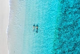 An aerial shot of two people snorkelling in clear blue water on a beach.
