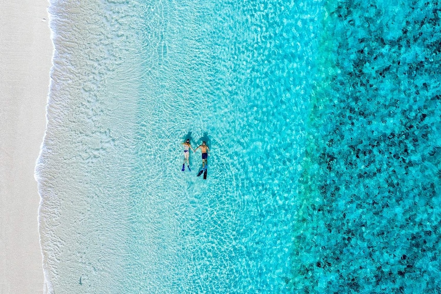 An aerial shot of two people snorkelling in clear blue water on a beach.