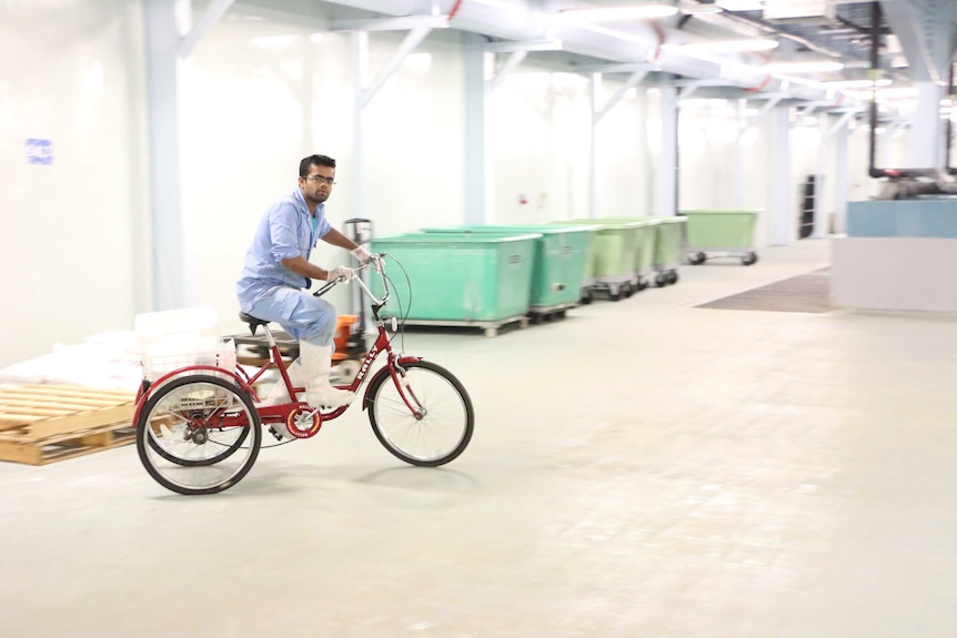 Workers cycle around huge plant