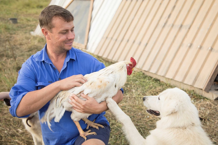 Man holda chicken when a dog looks on