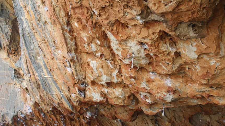 A rock wall in the Grampians with metal climbing spikes and hooks