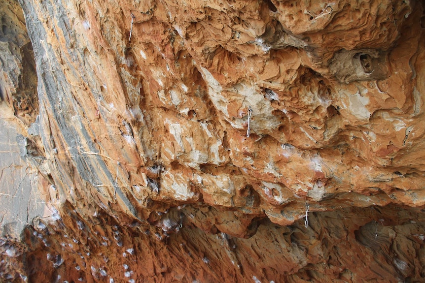 A rock wall in the Grampians with metal climbing spikes and hooks