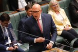 Dutton wearing glasses speaks on the floor of parliament house.
