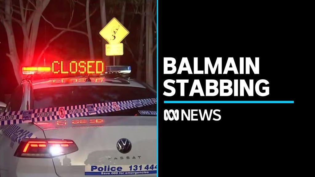 Man dead after stabbing in Sydney's inner west - ABC News