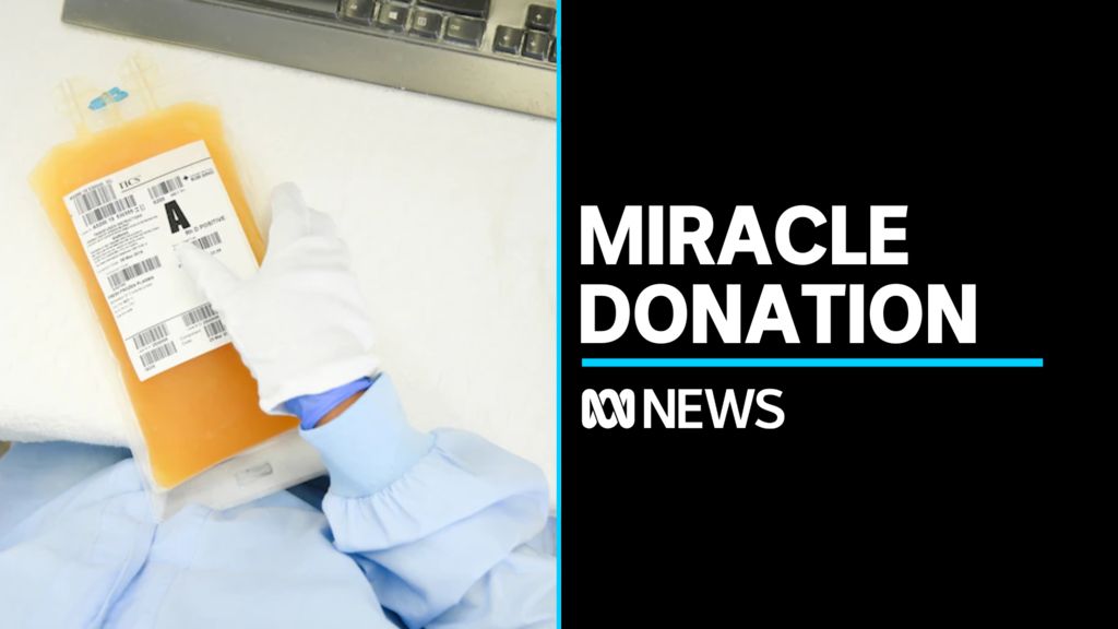 Red Cross Australia Urges People To Donate Plasma Amid Shortages ABC News   F781d685ac095fe2815edfaecd75fb5b