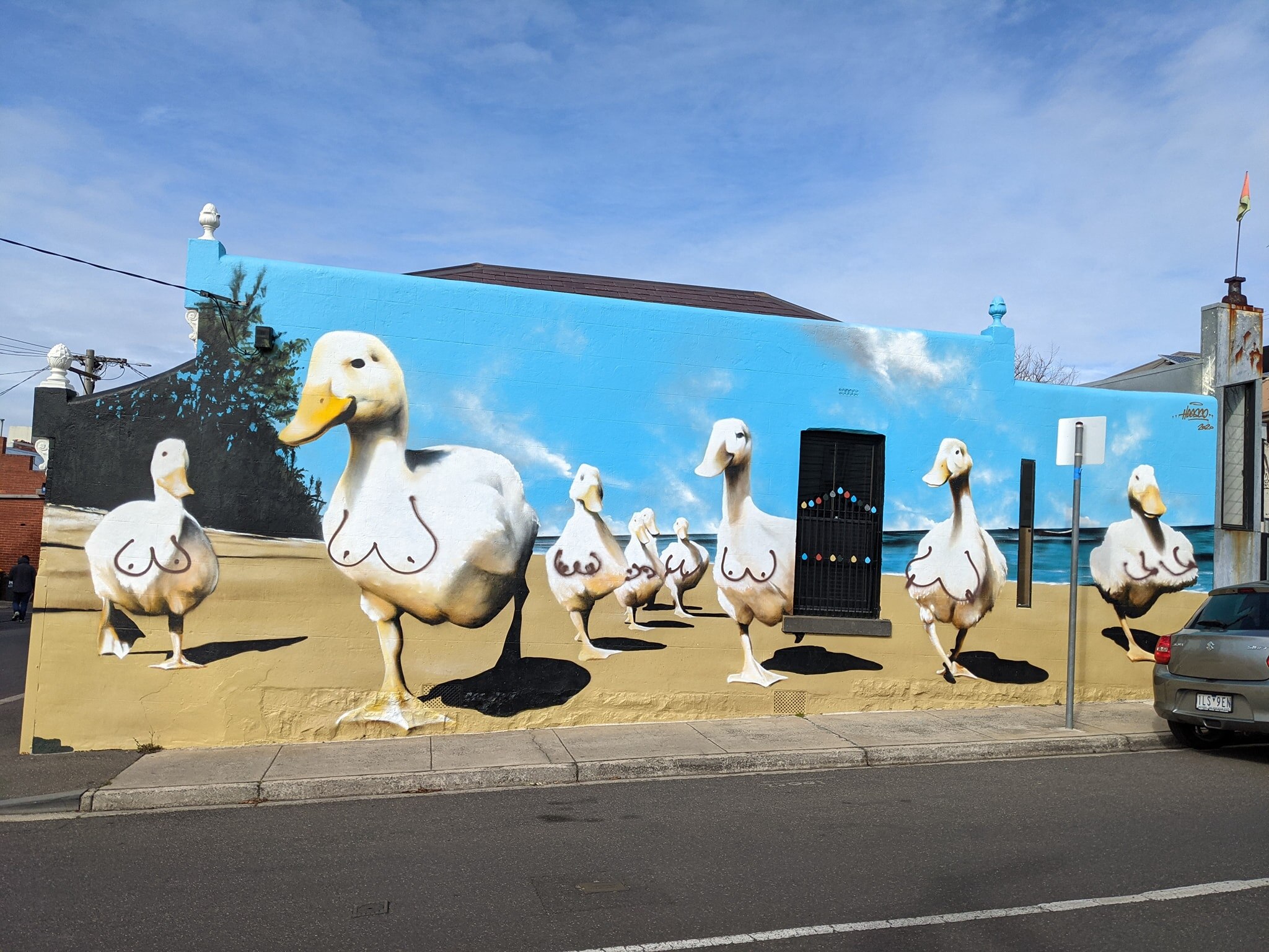 A photo of a mural where boobs have been sprayed on the ducks