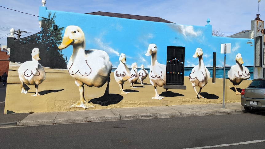 A photo of a mural where boobs have been sprayed on the ducks