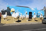 A photo of a mural where boobs have been sprayed on the ducks