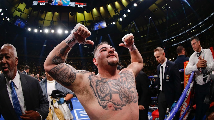 Andy Ruiz points at himself with his thumbs as his hands are above his head