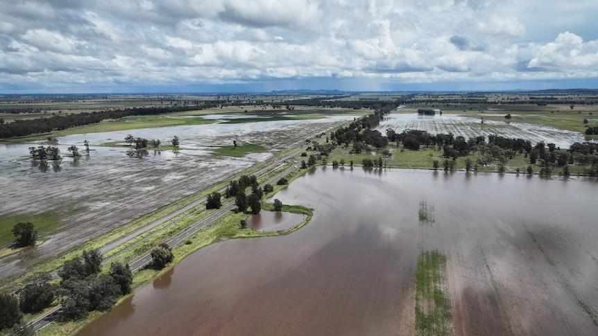 Bogan Gate farm covered in floodwater 