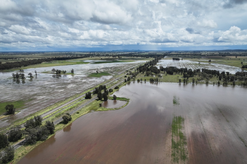 Bogan Gate farm covered in floodwater 