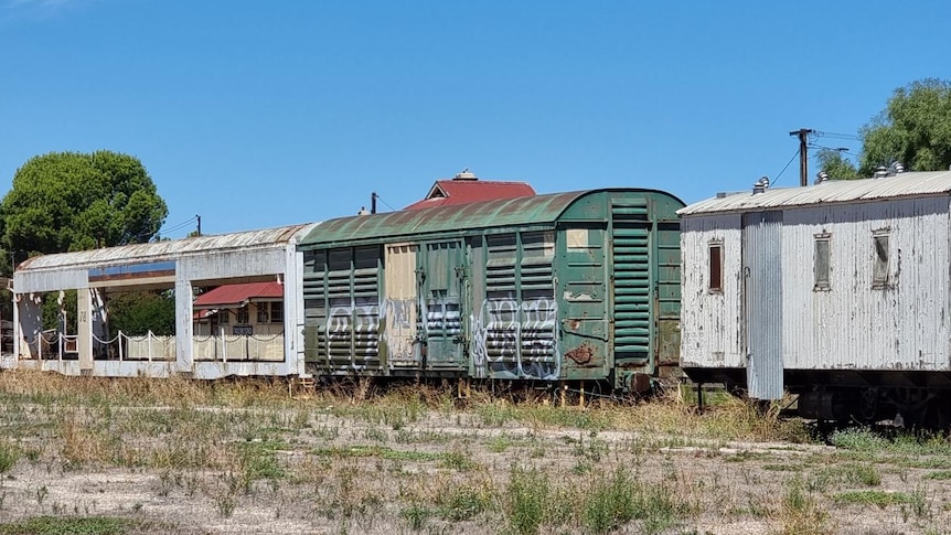 Coloured, rundown train carriages on a rail line.