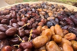 A basket of dates