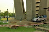 The scene where the man was allegedly stabbed near the Palmerston water tower.