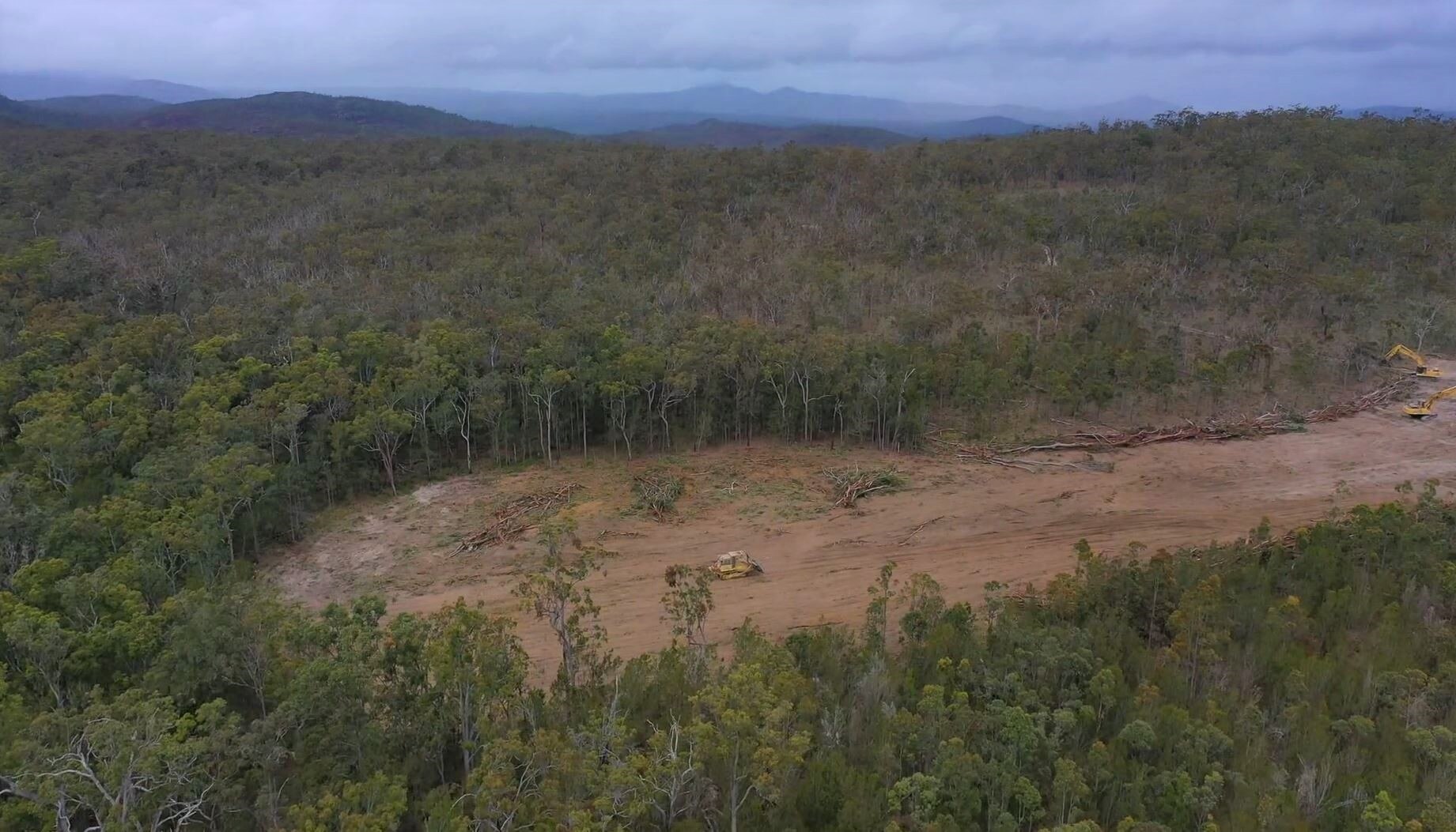 Land that has been cleared