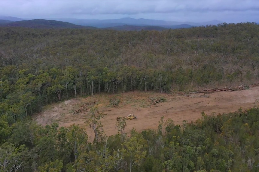 Terrain qui a été défriché