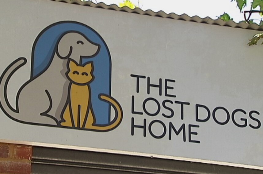A sign outside the Lost Dogs Home