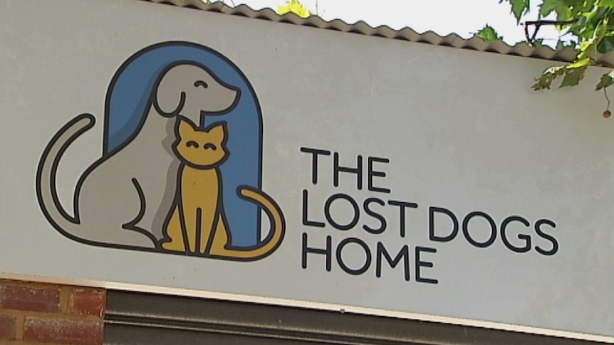 The Lost Dogs' Home said it would report its reasons for euthanasing to the Agriculture Minister every six months.