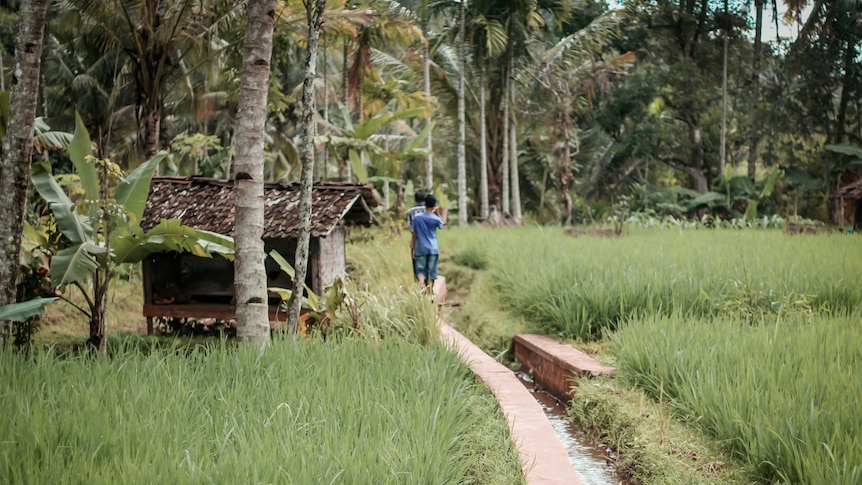 Two young Indonesian men walking in a forest.