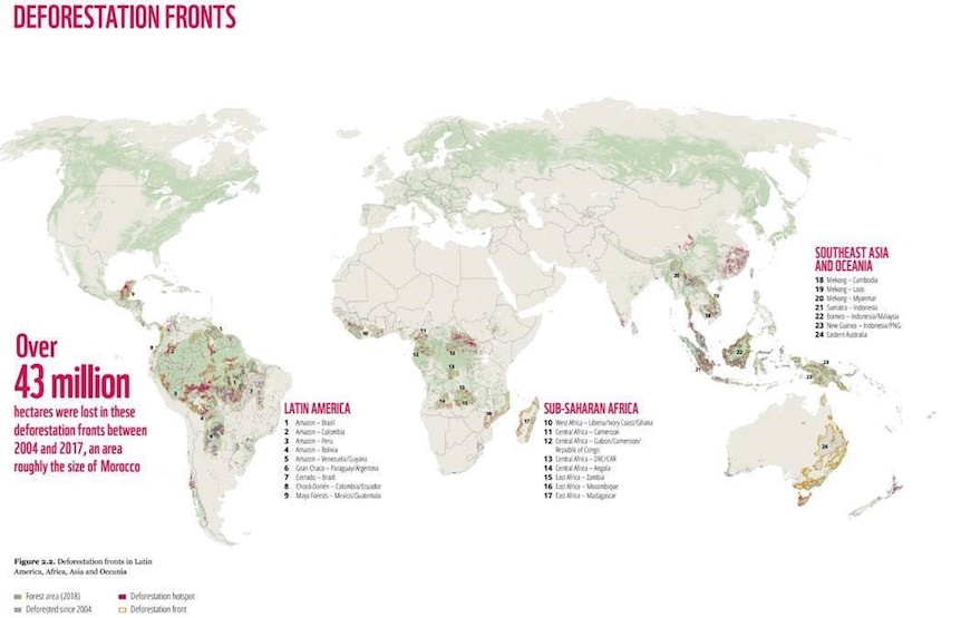 A map of the world shows the global deforestation hotspots, including eastern Australia