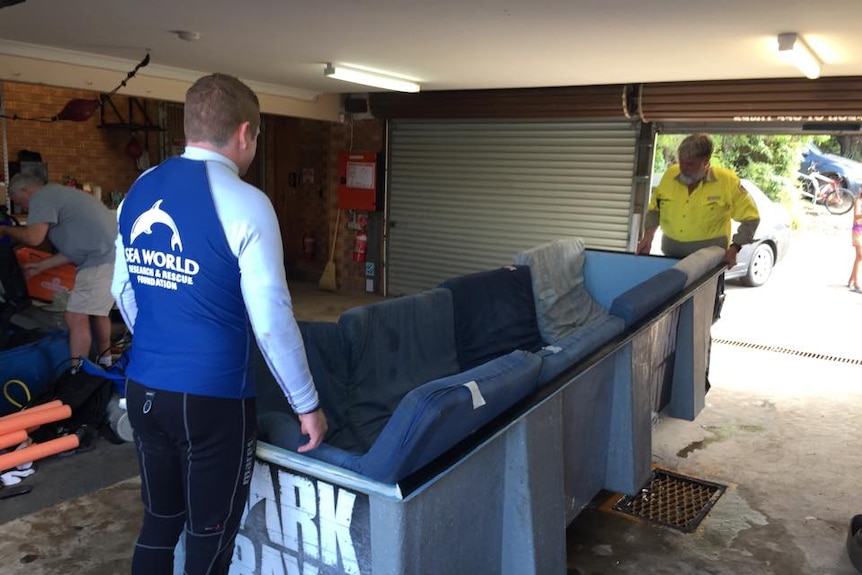 Marine experts prepare a tank, lined with soft mattresses, for a dugong