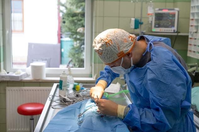 A vet in scrubs leaning over an animal
