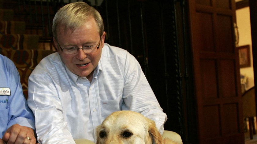 Prime Minister Kevin Rudd and his dog Abby
