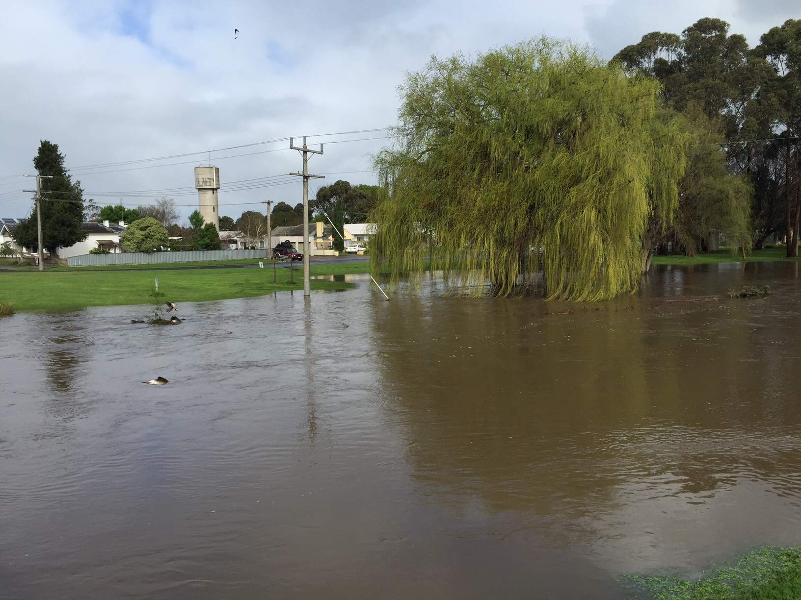 Victoria Flood Warnings Remain After Heavy Rain - ABC News