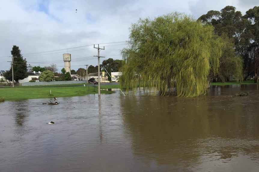 Flooding seen at Fitzroy River at Heywood