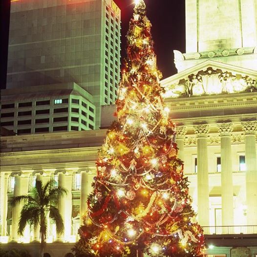 Cardiff city council christmas tree