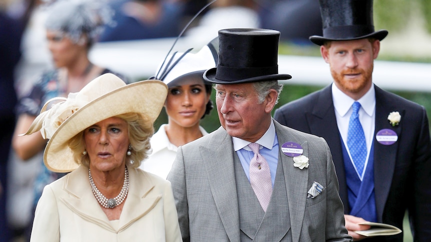 Camilla, Charles, Meghan and Harry dressed up in suits and hats for the races