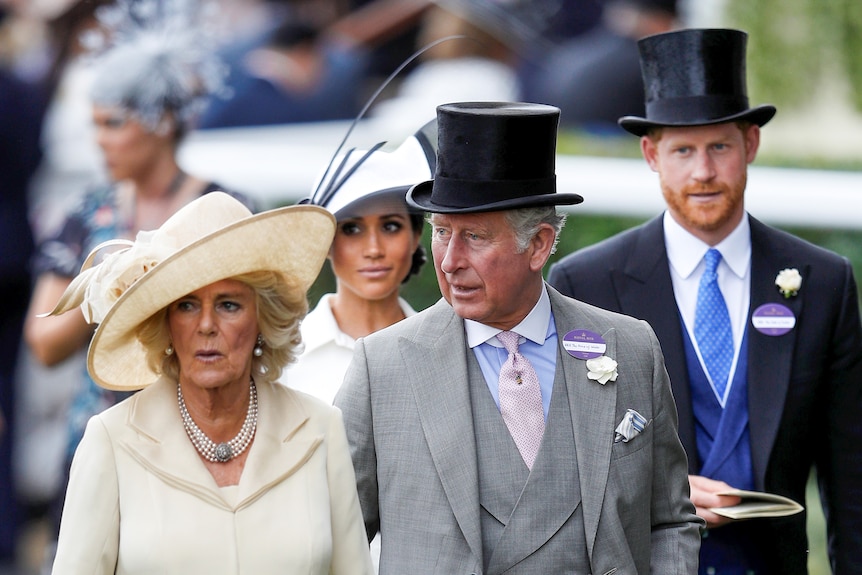 Camilla, Charles, Meghan and Harry dressed up in suits and hats for the races