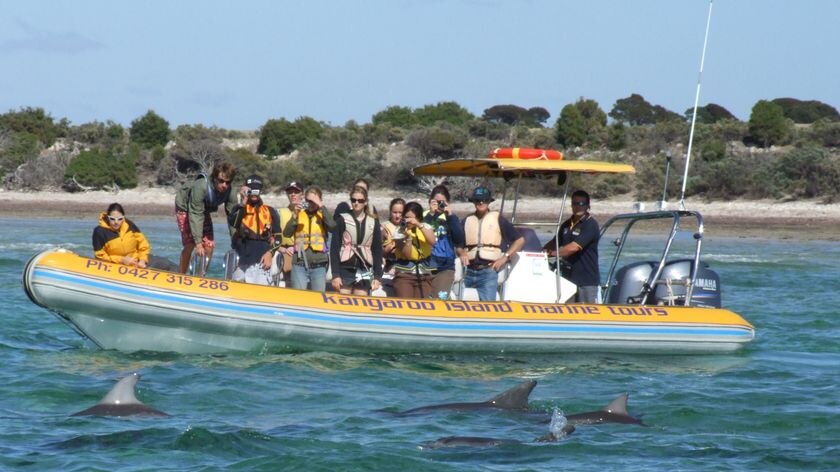 Kangaroo Island Dolphin Watch volunteers