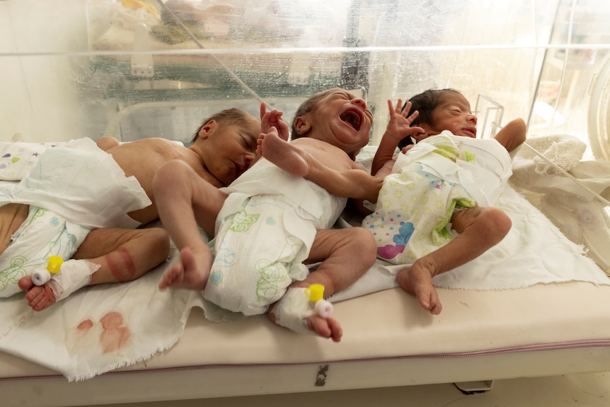 Babies at Kabul hospital
