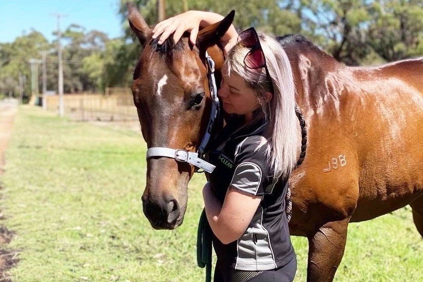 A horse with a woman next it after it was recovered from injuries