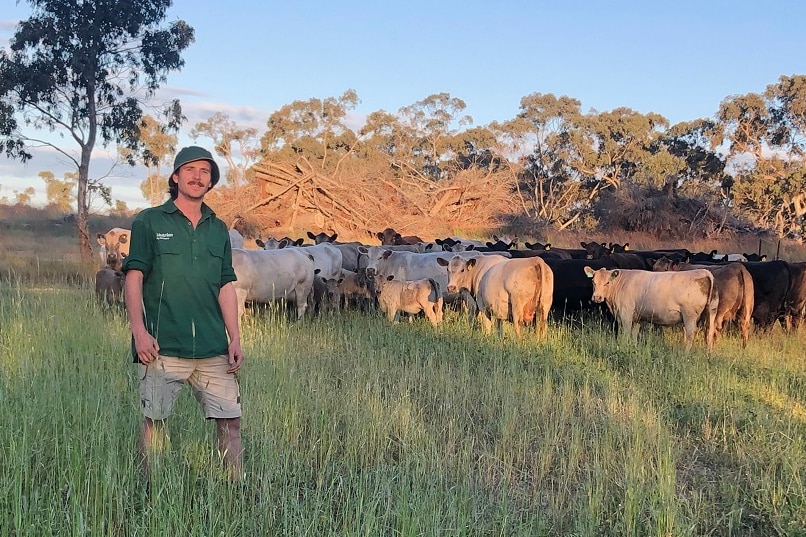 A man standing in a paddock with cattle in the background.