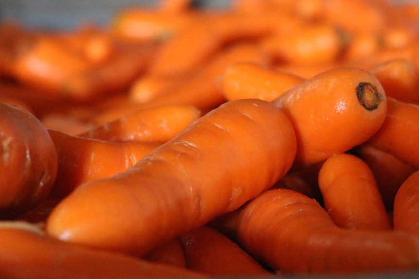 Closing the carrot year